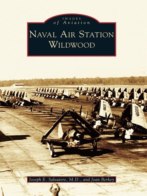Cover image for Naval Air Station Wildwood
